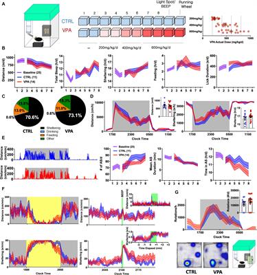 On the Digital Psychopharmacology of Valproic Acid in Mice